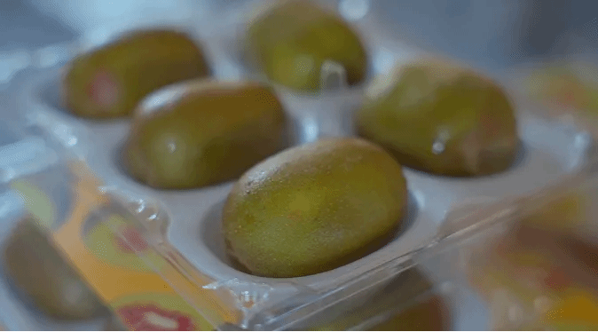 必赢亚洲·bwin(中国区)官方网站