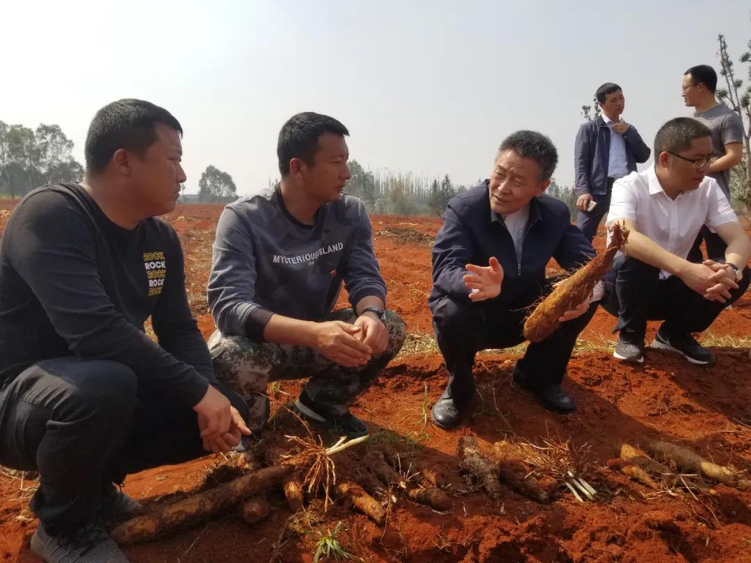 FDE740F93D962E8306716C93921_C23194AA_1D2FD.jpg?e= 必赢亚洲·bwin(中国区)官方网站